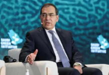 Egypt contributes to Europe’s energy security: Petroleum Minister