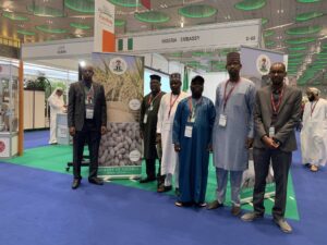 Nigerian Business Council in Qatar