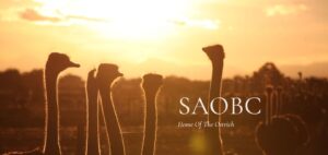 South African Ostrich Business Chamber