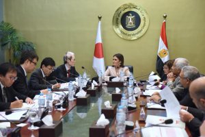 Egypt-Japan Business Council